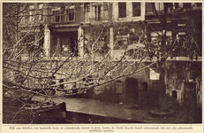 870014 Afbeelding van de bloesem aan een boom op de werf aan de Oudegracht te Utrecht.